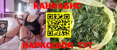 прущие грибы Обнинск