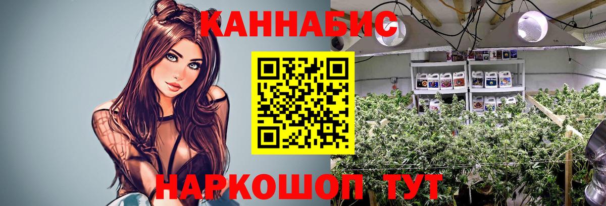 Конопля OG Kush  Бошки Шишки марихуана  Тула  Вход с VPN  Каннабис гибрид 